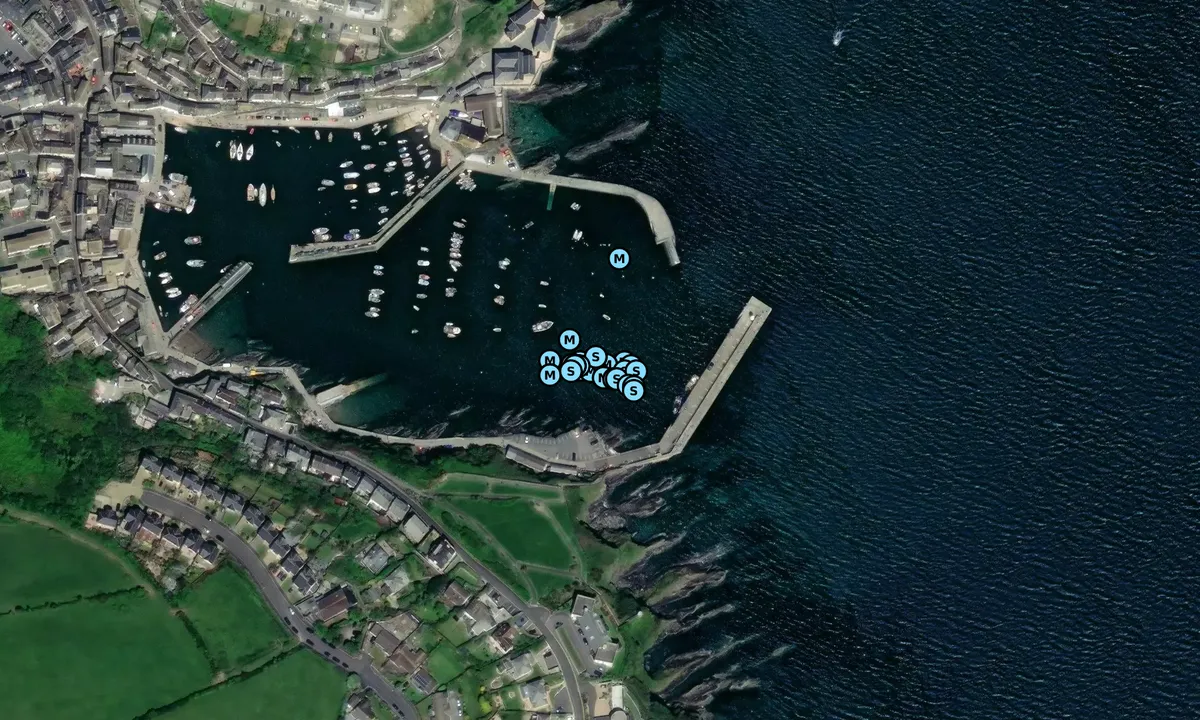 Satelite image of Mevagissey Harbour