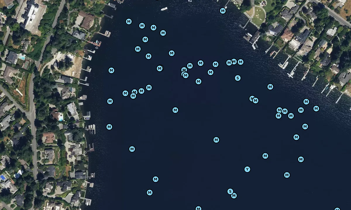 Satelite image of Meydenbauer Bay