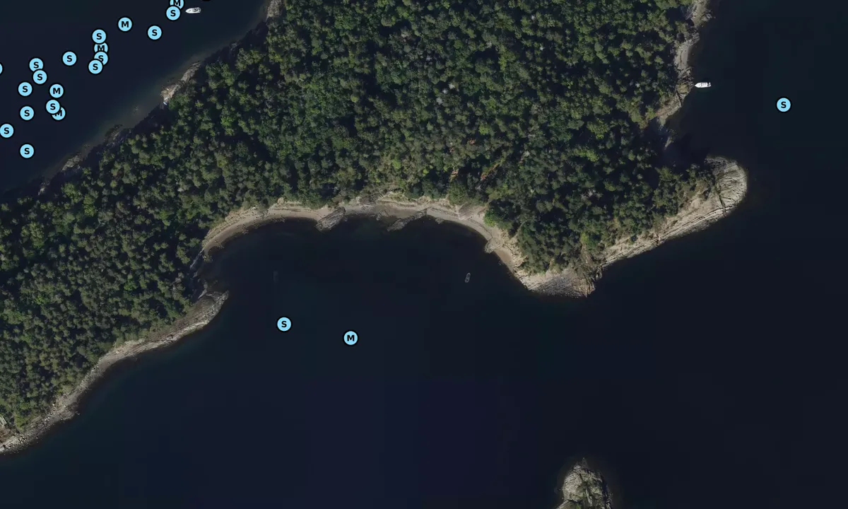 Langåra: Satelite image of Middagsbukta S