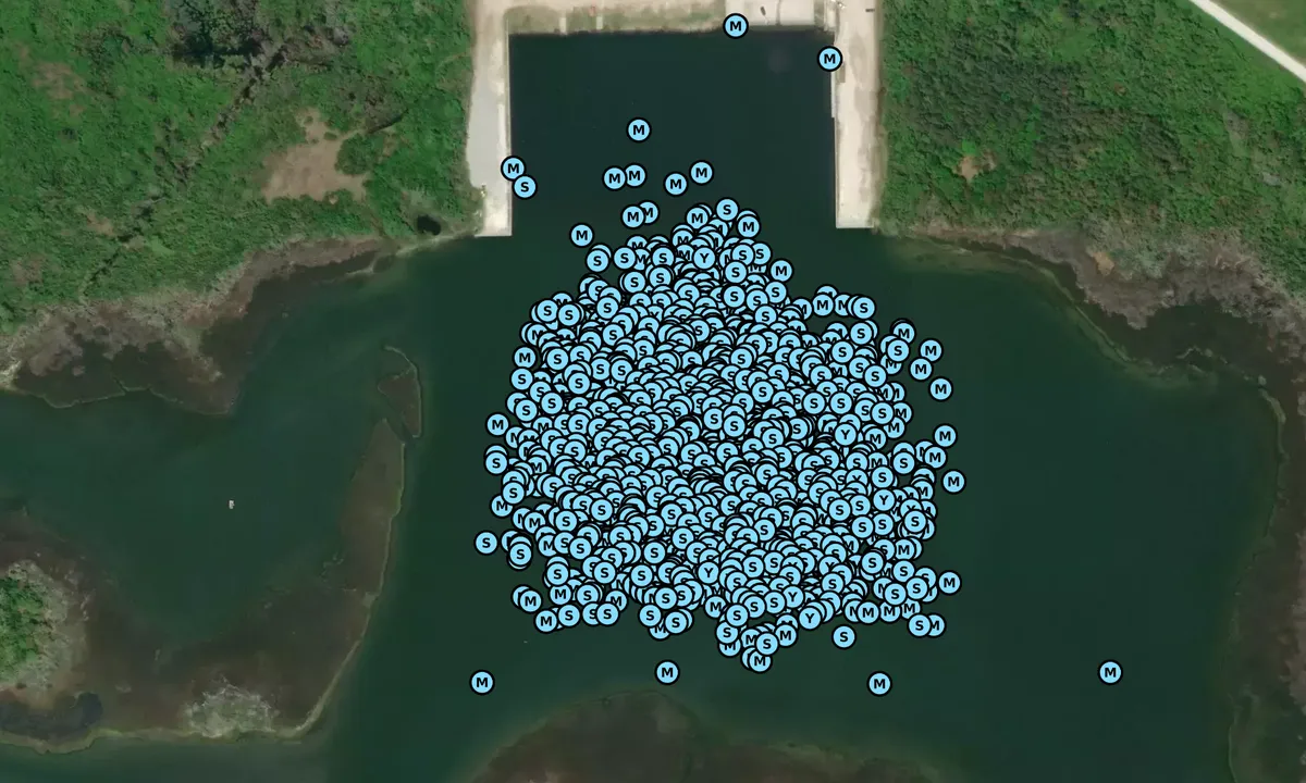 Satelite image of Mile Hammock Bay