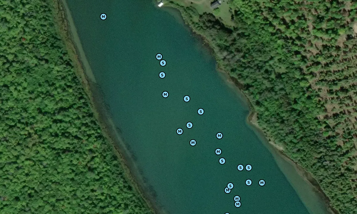 Satelite image of Milford Haven