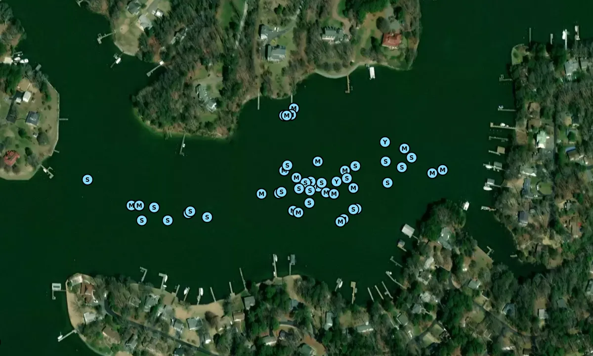 Satelite image of Mill Creek - 2