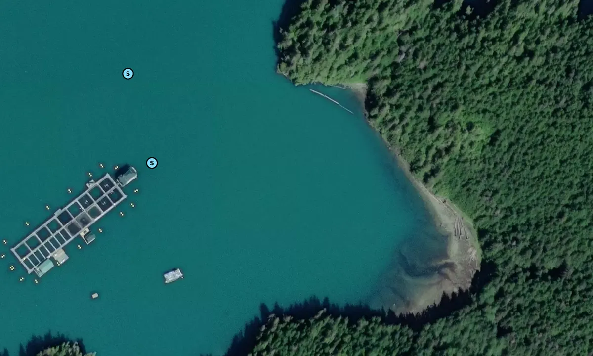 Satelite image of Miller Bay
