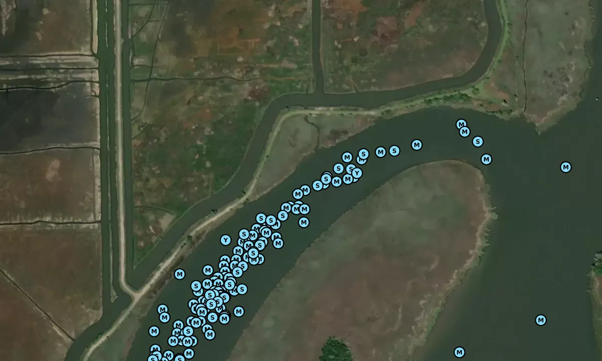 Satelite image of Minim Creek - 1