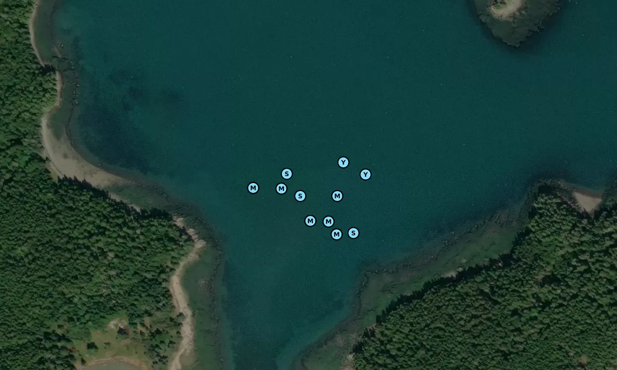Satelite image of Mink Island