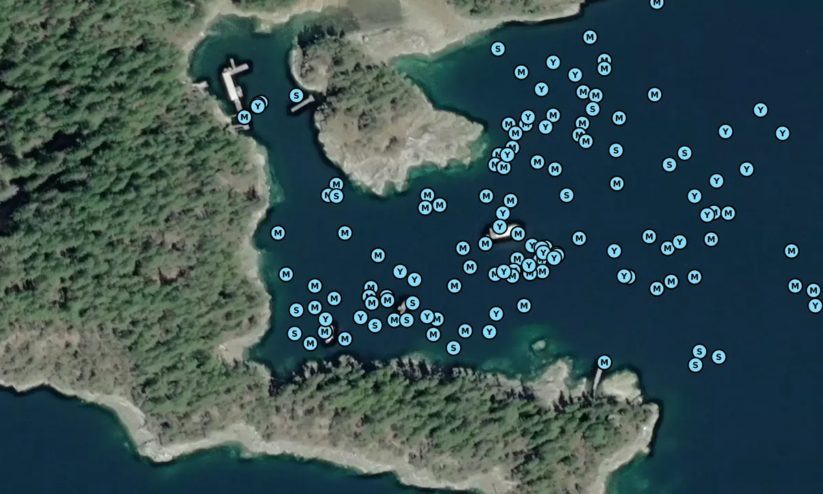 Satelite image of Mink Island (South)
