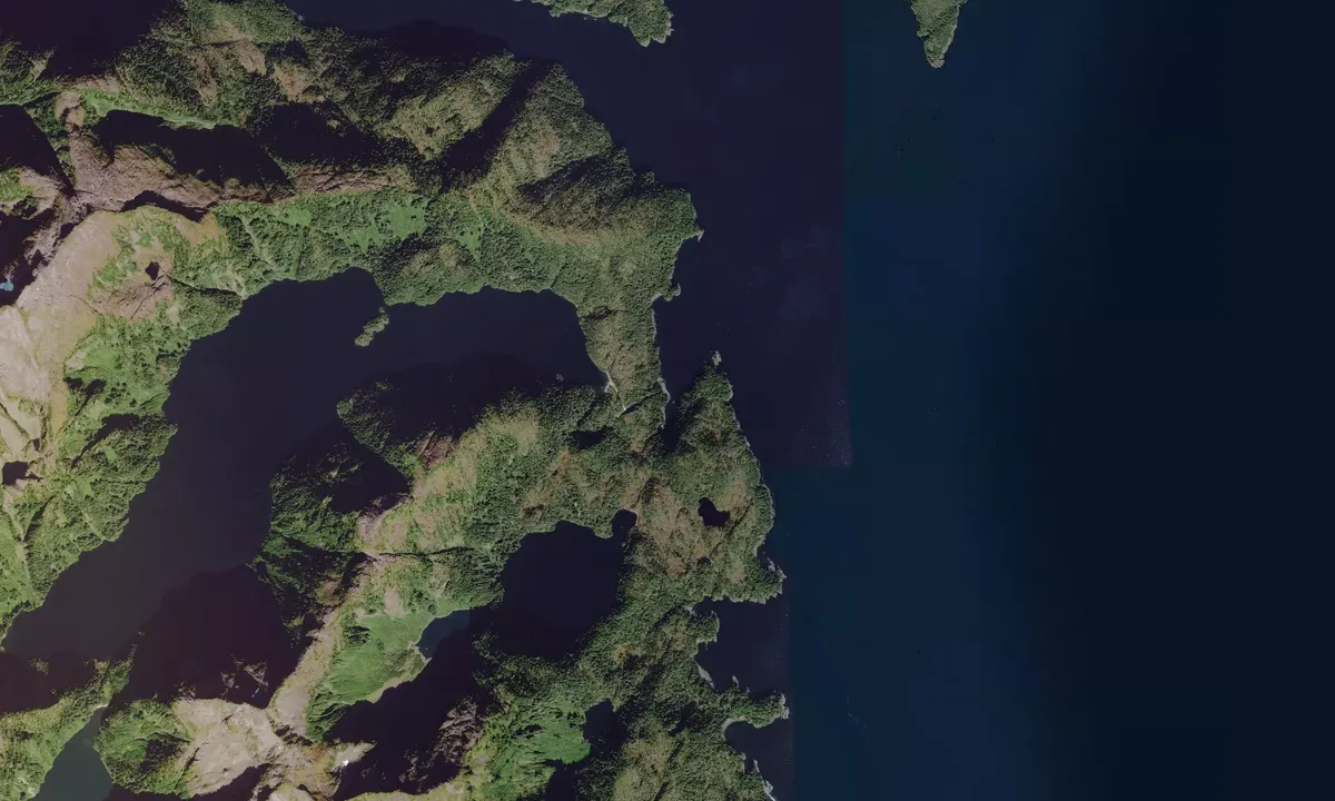Flyfoto av Mist Cove
