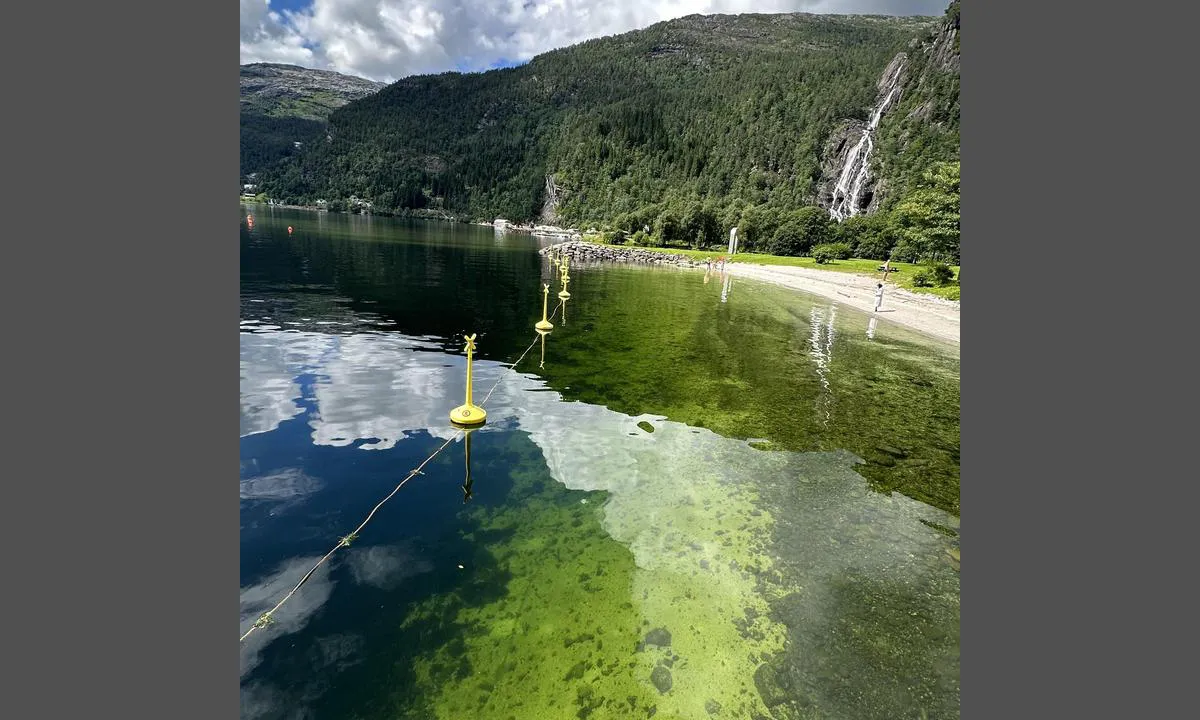 Modalen Båthavn: Fin badestrand.