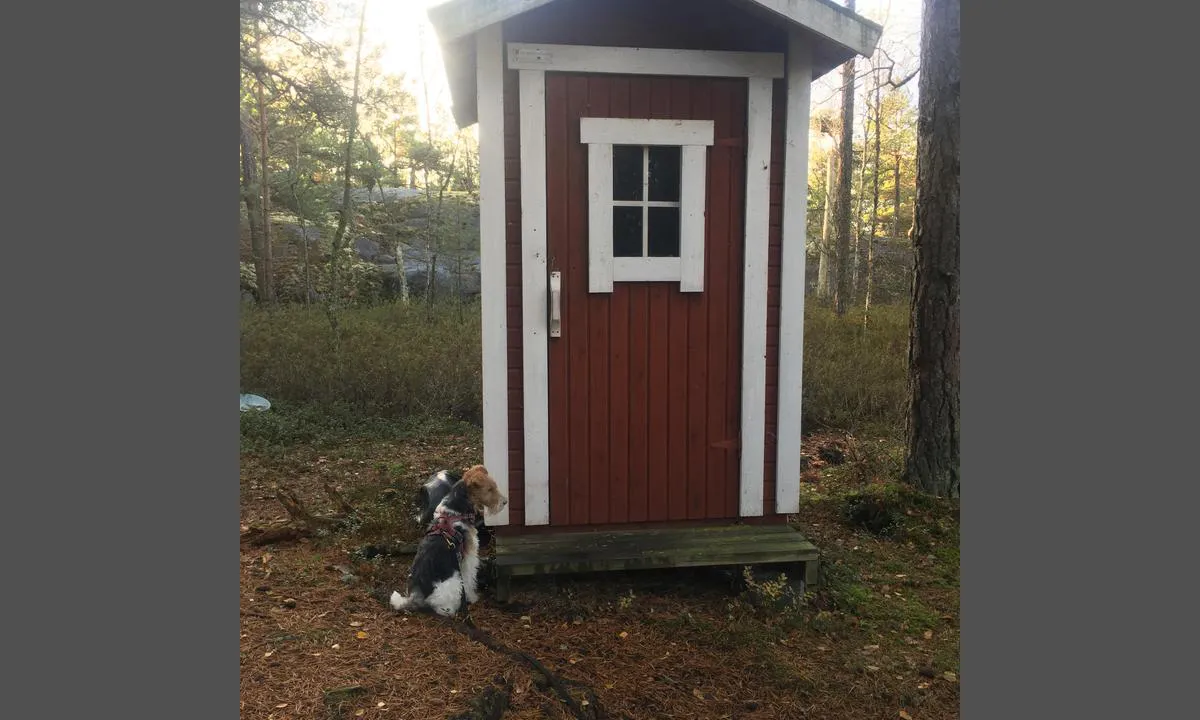 Modermagan: Toilet