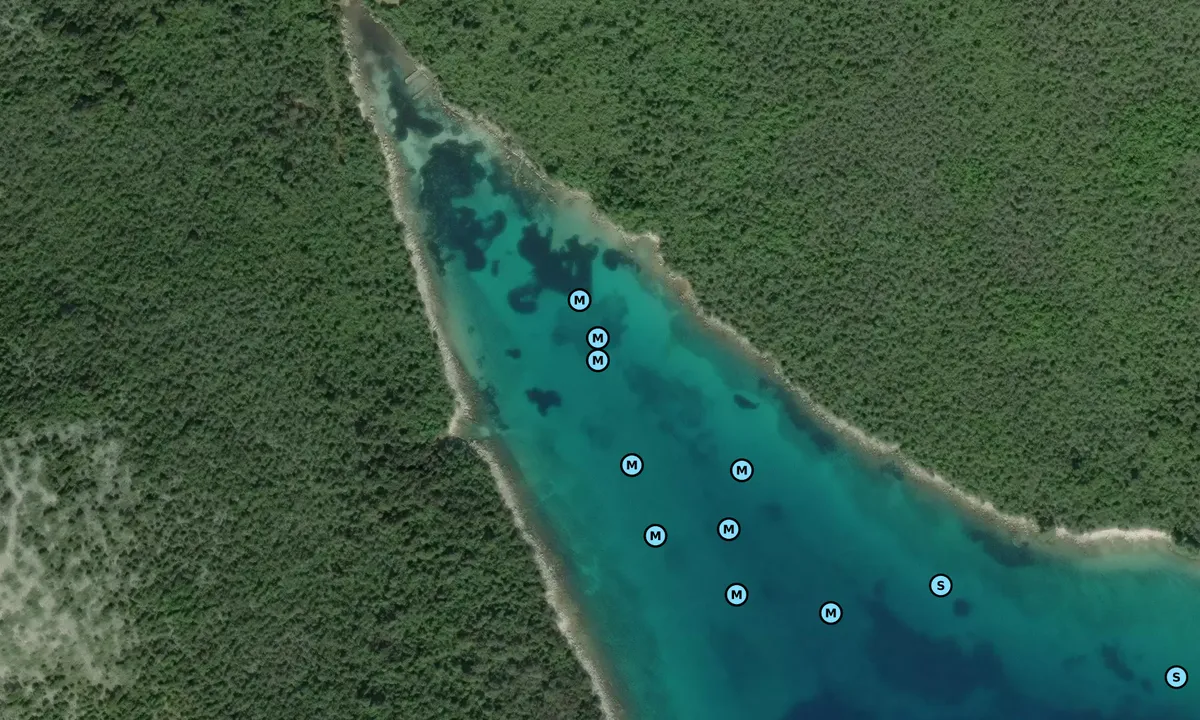 Satelite image of Molat Bay