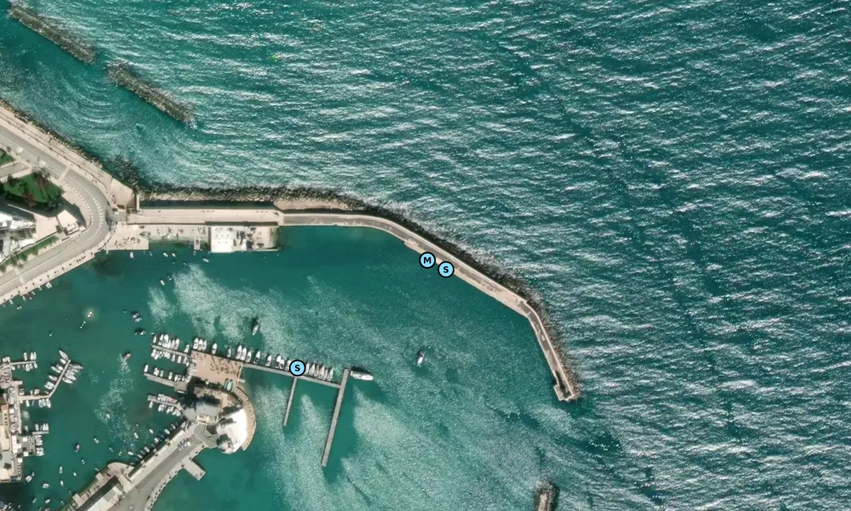 Satelite image of Molo S. Antonio