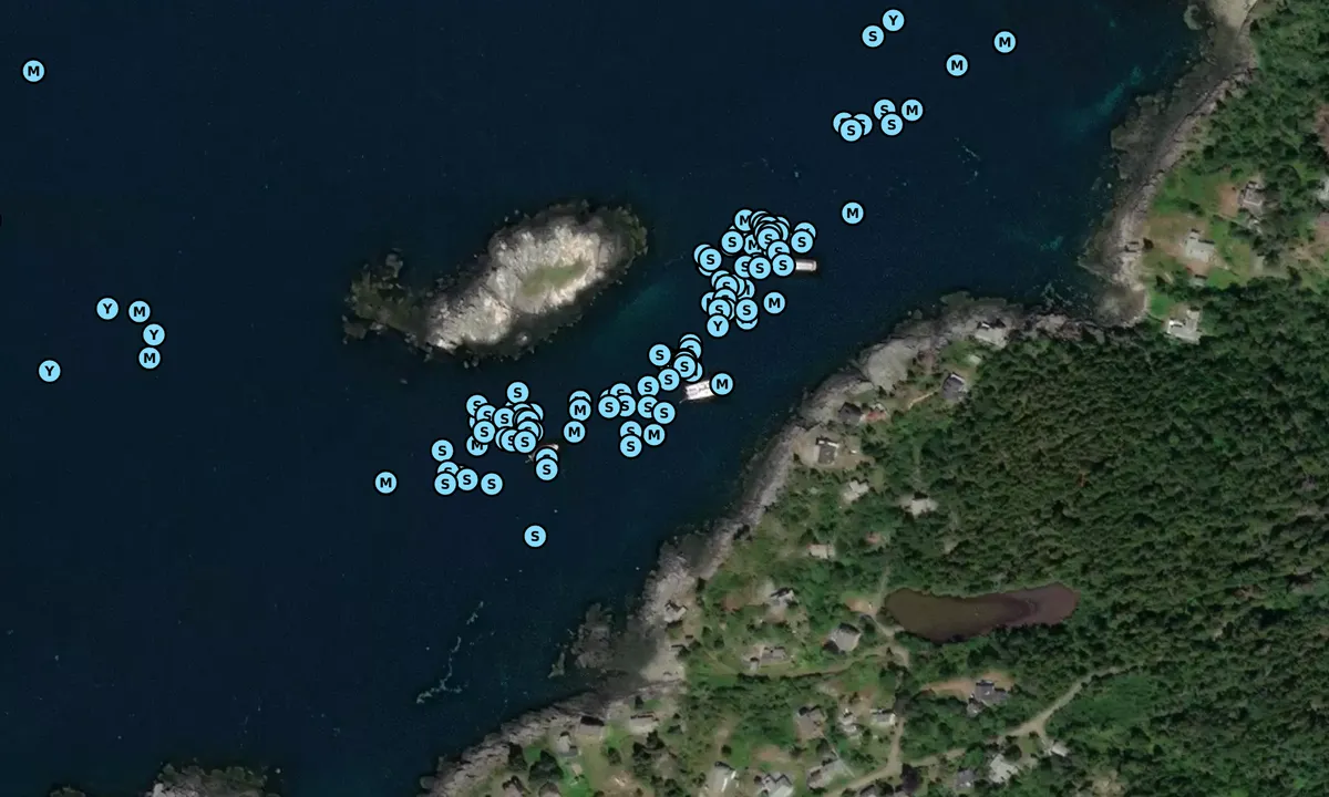 Satelite image of Monhegan