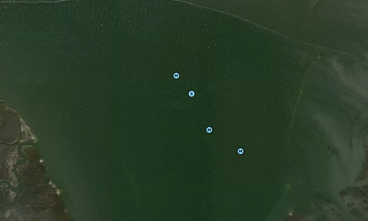 Satelite image of Monkey Island Anchorage