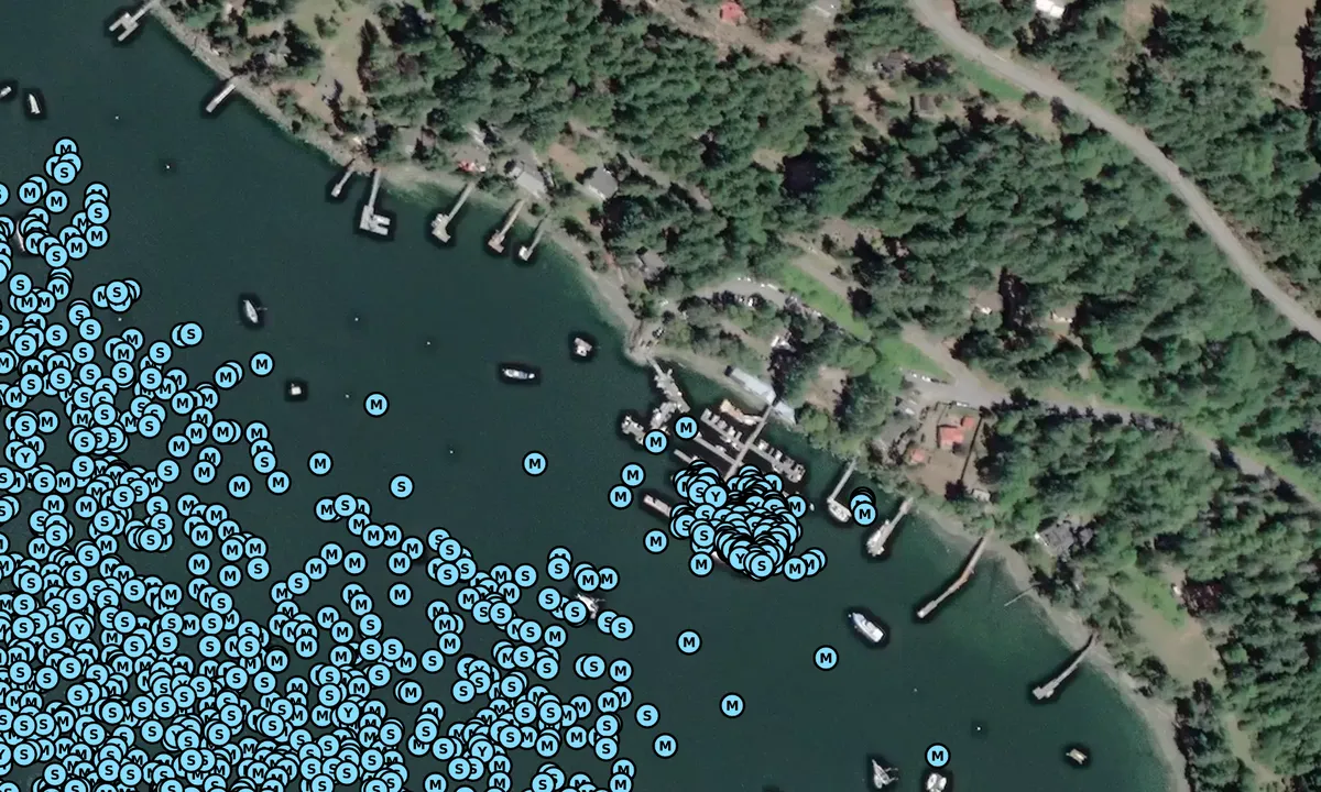 Satelite image of Montague Harbour Marina