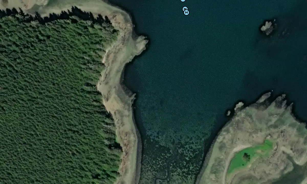 Satelite image of Monte Carlo Island