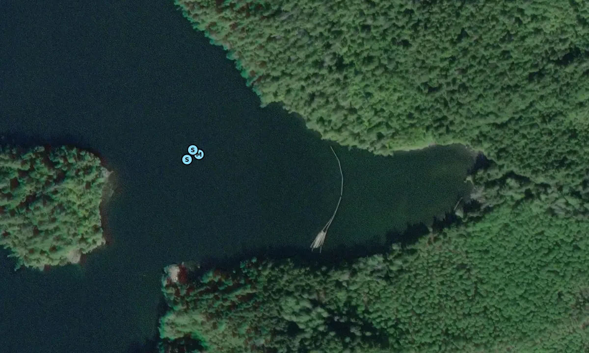 Satelite image of Moore Bay East