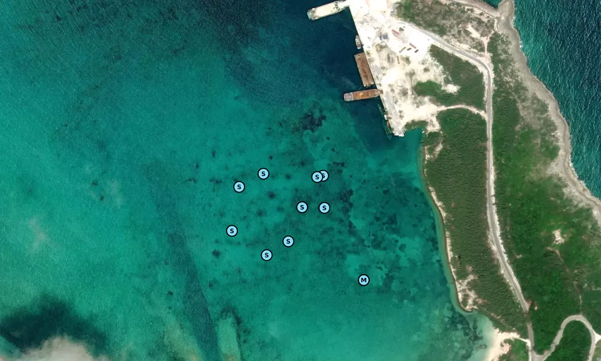 Satelite image of Morgan's Bluff - 1