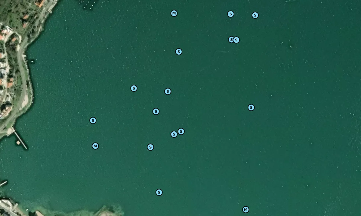 Satelite image of Morinjski Zaliv