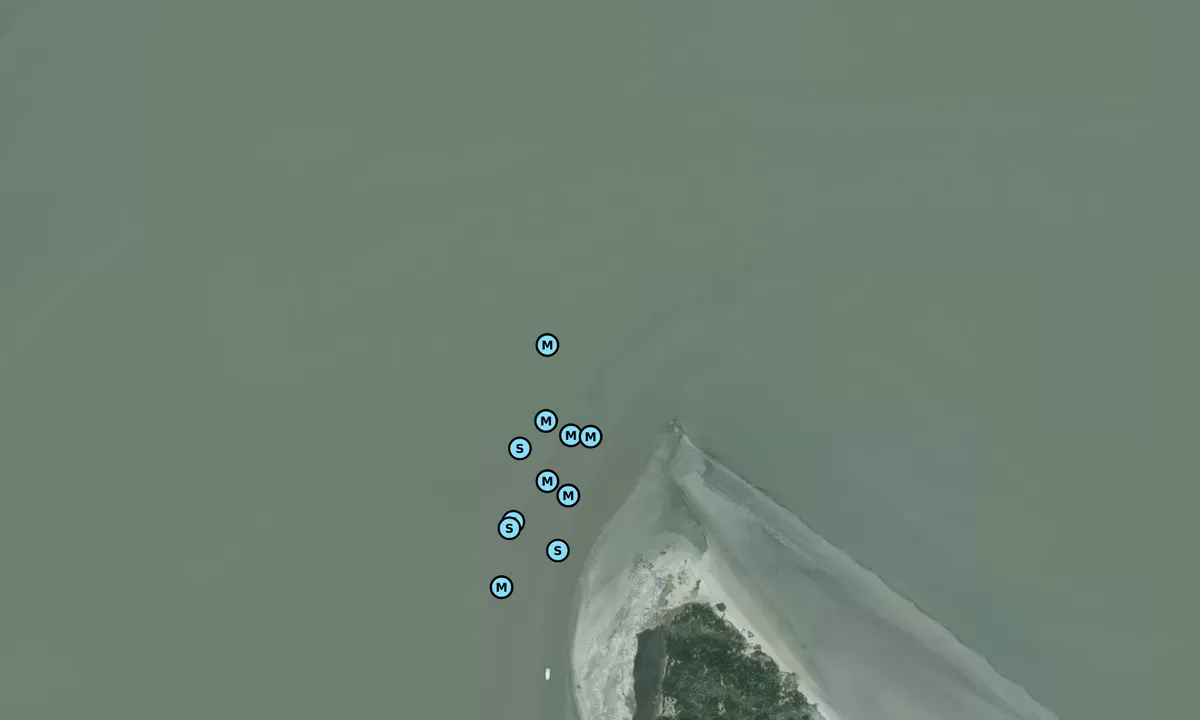 Satelite image of Morris Island Beach