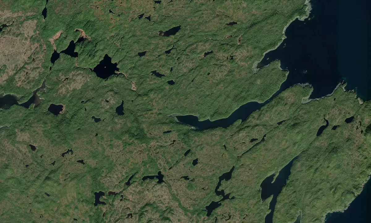 Flyfoto av Morse Cove