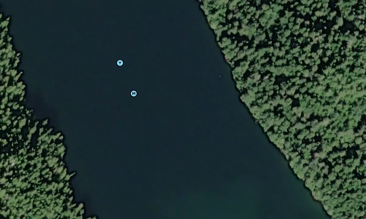 Satelite image of Moser Bay Head