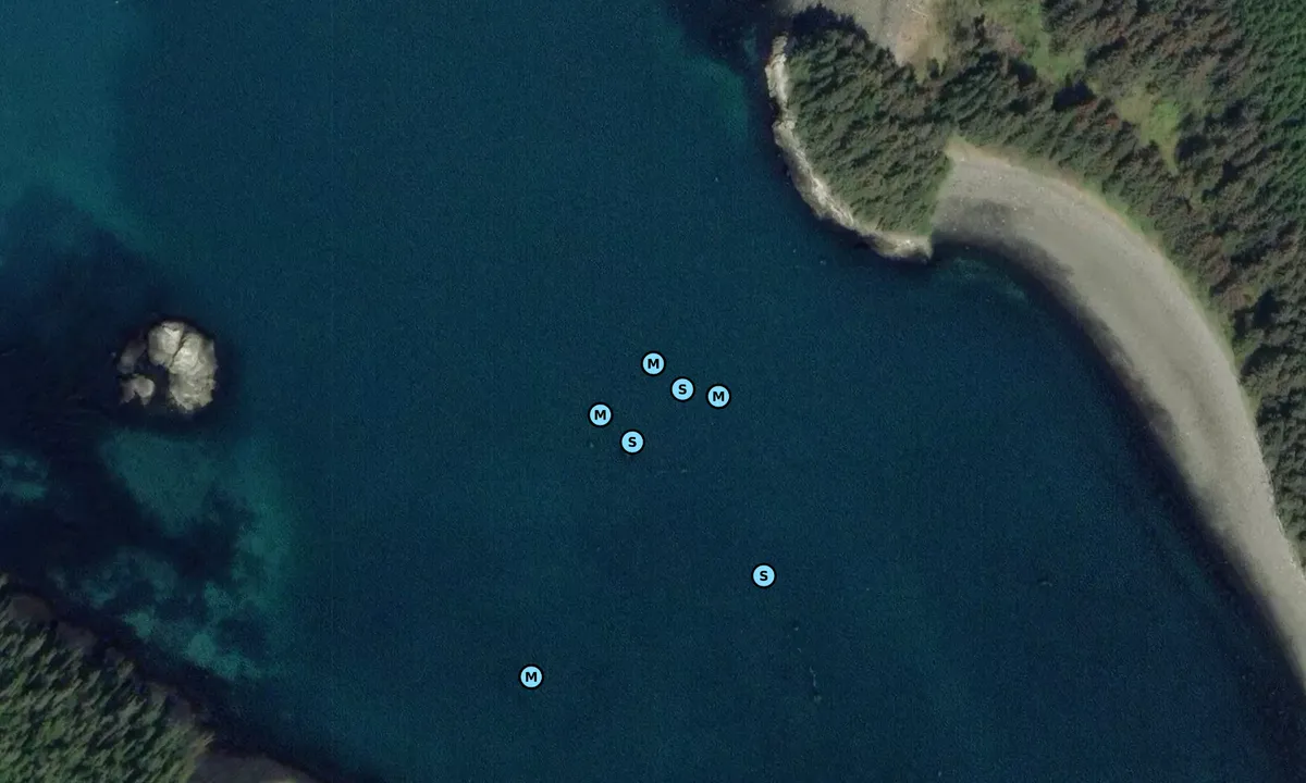 Satelite image of Mosquito Cove 2