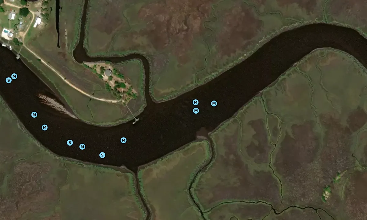 Satelite image of Mosquito Creek