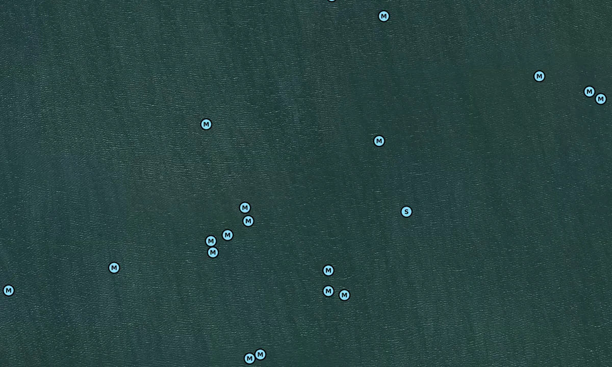 Satelite image of Mosquito Lagoon - 2