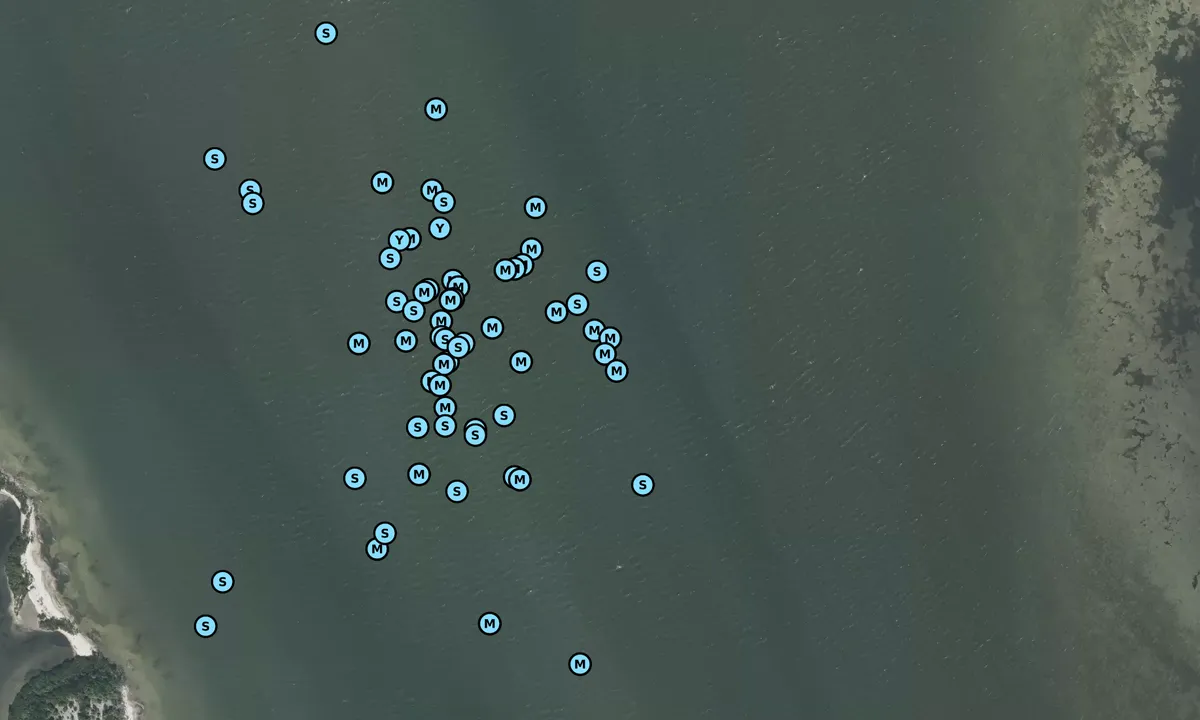 Satelite image of Mosquito Lagoon - 3