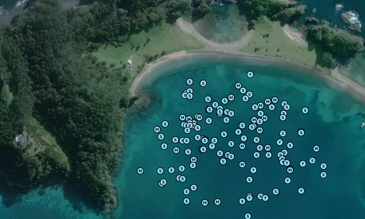 Satelite image of Motuarohia Island (Roberton Island)