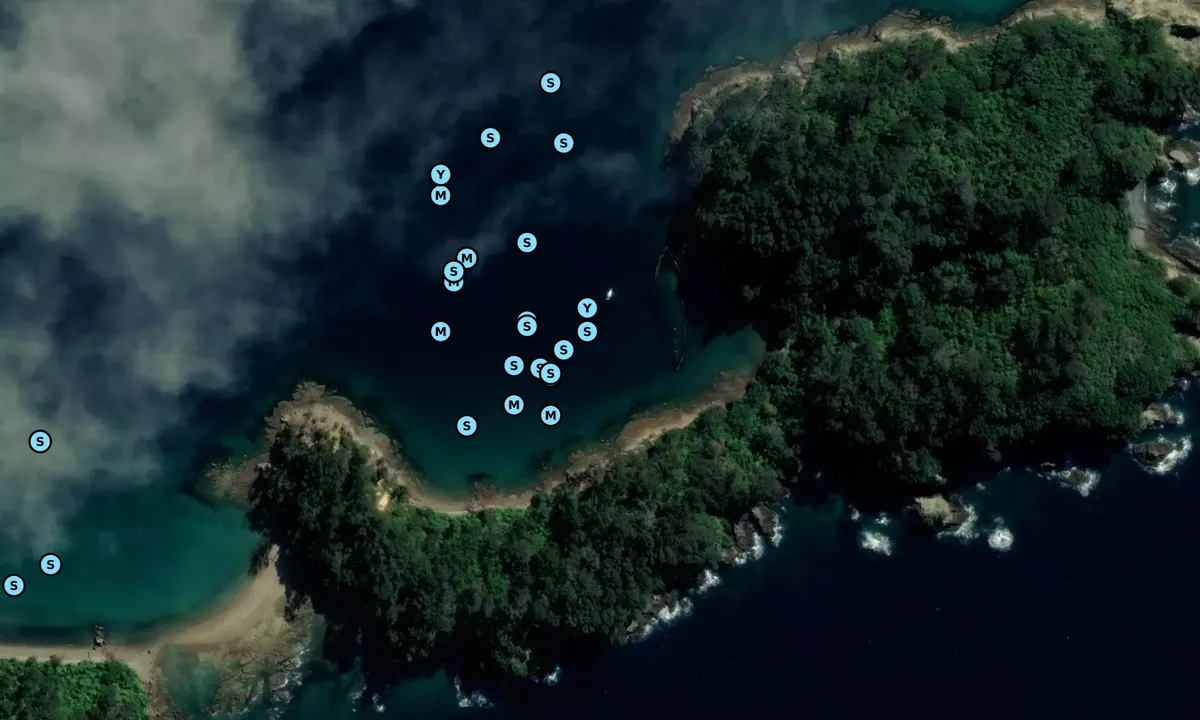Satelite image of Moturekareka Island