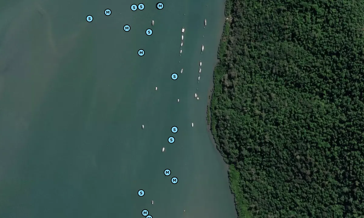 Satelite image of Mourilyan Harbour