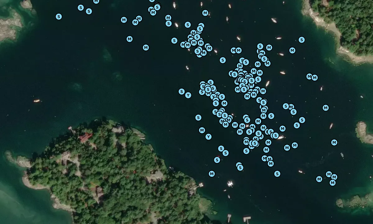 Satelite image of Mt Desert Narrows