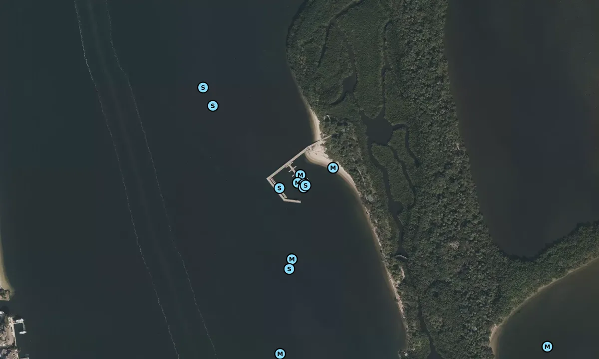 Satelite image of Munyon Island