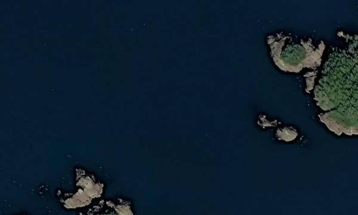 Satelite image of Murphy Cove