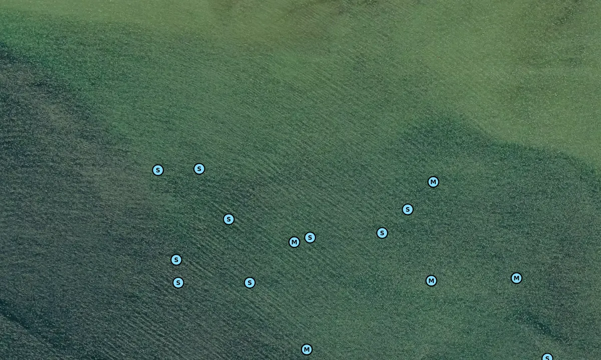 Satelite image of Murray Bay