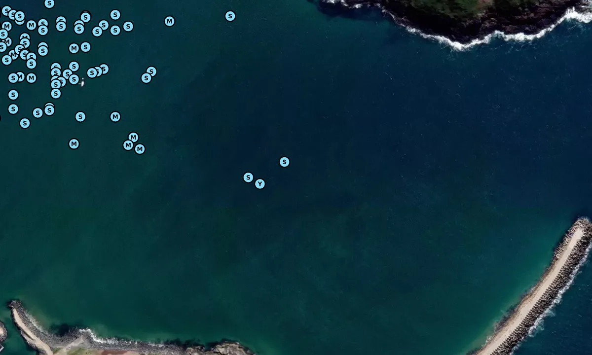 Satelite image of Muttonbird Island Nature Reserve