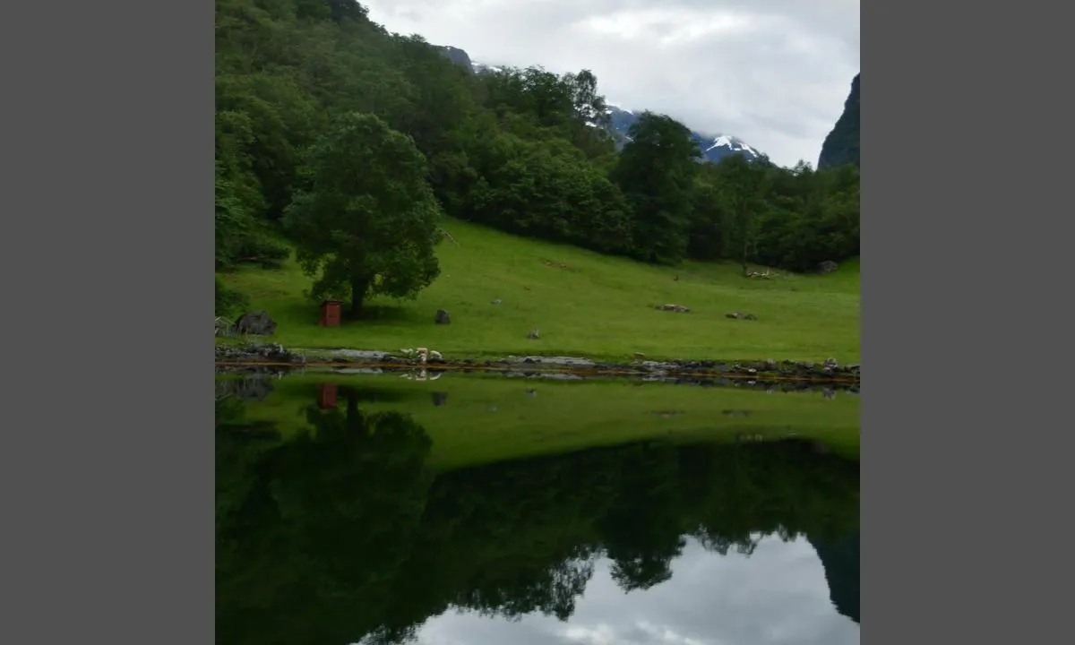 Nærøyfjorden, Holmaviki: Holmo