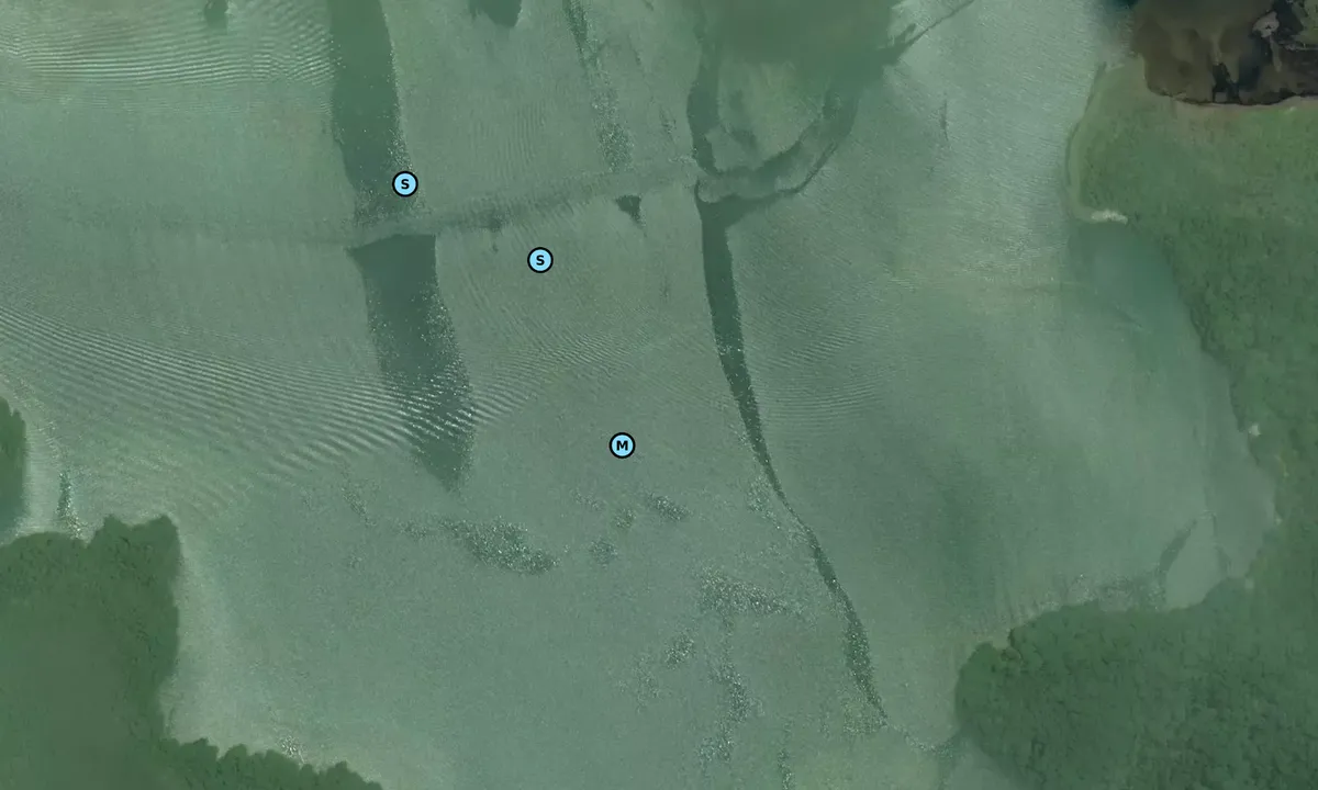 Satelite image of Narganau Anchorage