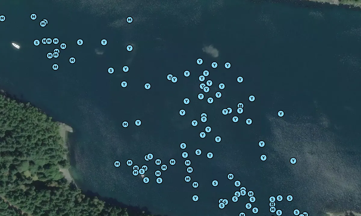 Satelite image of Narvaez Bay