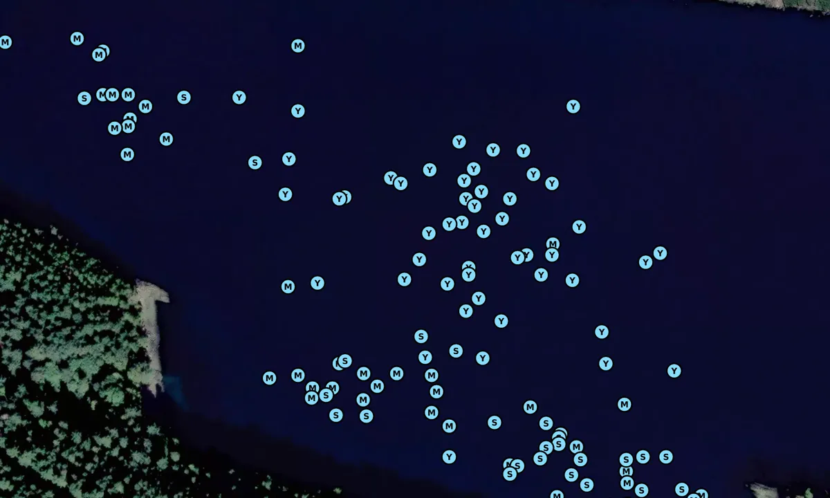 Satelite image of Narvaez Bay
