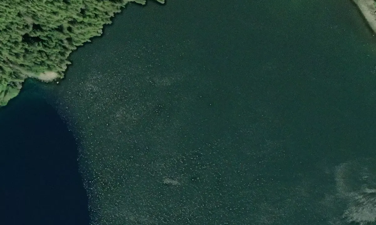 Satelite image of Nasoga Gulf Head