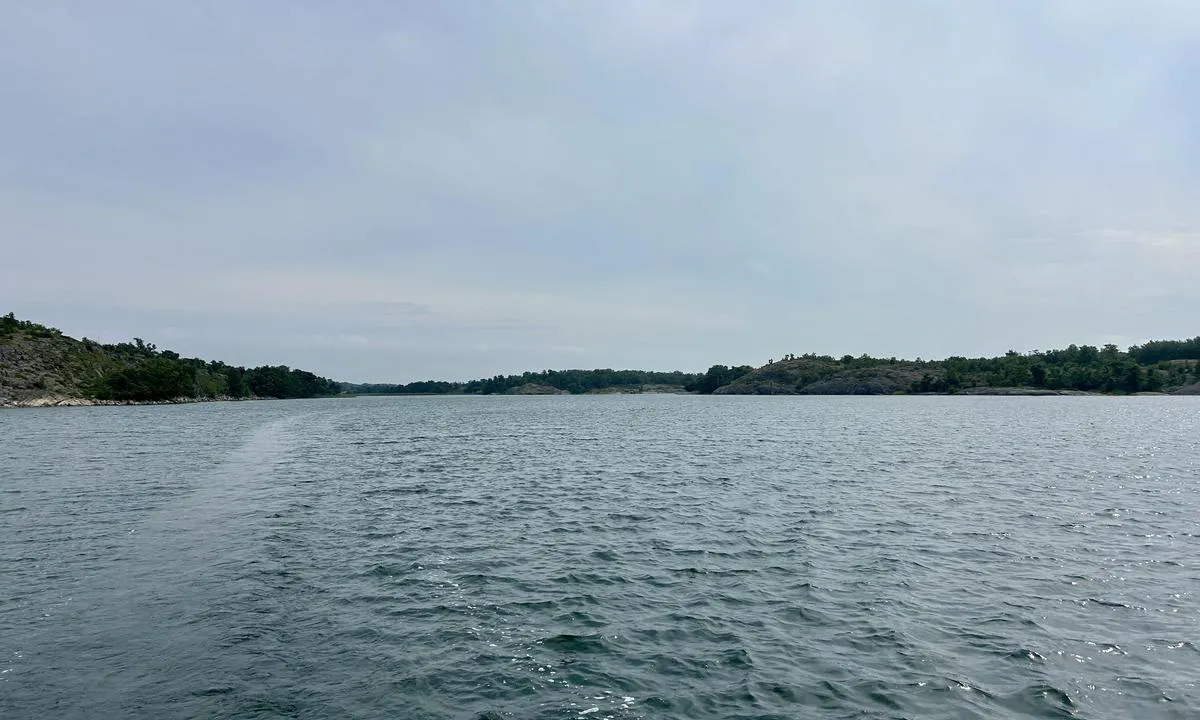 Nästholm: {"base": "en", "no": "Veldig dyp bukt, i midten 8-10 m", "se": "V\u00e4ldigt djup vik, i mitten 8-10 m", "en": "Very deep bay, in the middle 8-10 m", "da": "Meget dyb bugt, i midten 8-10 m", "fr": "Baie tr\u00e8s profonde, au milieu 8-10 m", "de": "Sehr tiefe Bucht, in der Mitte 8-10 m", "es": "Bah\u00eda muy profunda, en el medio 8-10 m", "it": "Baia molto profonda, al centro 8-10 m", "pt": "Ba\u00eda muito profunda, no meio 8-10 m", "nl": "Zeer diepe baai, in het midden 8-10 m", "pl": "Bardzo g\u0142\u0119boka zatoka, w \u015brodku 8-10 m", "uk": "\u0414\u0443\u0436\u0435 \u0433\u043b\u0438\u0431\u043e\u043a\u0430 \u0431\u0443\u0445\u0442\u0430, \u043f\u043e\u0441\u0435\u0440\u0435\u0434\u0438\u043d\u0456 8-10 \u043c", "ro": "Golf foarte ad\u00e2nc, \u00een mijloc 8-10 m", "tr": "\u00c7ok derin koy, ortas\u0131nda 8-10 m", "el": "\u03a0\u03bf\u03bb\u03cd \u03b2\u03b1\u03b8\u03cd\u03c2 \u03ba\u03cc\u03bb\u03c0\u03bf\u03c2, \u03c3\u03c4\u03bf \u03bc\u03ad\u03c3\u03bf 8-10 \u03bc.", "cs": "Velmi hlubok\u00e1 z\u00e1toka, uprost\u0159ed 8-10 m", "hu": "Nagyon m\u00e9ly \u00f6b\u00f6l, k\u00f6z\u00e9pen 8-10 m", "fi": "Hyvin syv\u00e4 lahti, keskell\u00e4 8-10 m", "bg": "\u041c\u043d\u043e\u0433\u043e \u0434\u044a\u043b\u0431\u043e\u043a \u0437\u0430\u043b\u0438\u0432, \u0432 \u0441\u0440\u0435\u0434\u0430\u0442\u0430 8-10 \u043c", "sr": "Vrlo dubok zaliv, u sredini 8-10 m", "et": "V\u00e4ga s\u00fcgav laht, keskel 8-10 m", "lv": "\u013boti dzi\u013ca l\u012b\u010da, vid\u016b 8-10 m", "lt": "Labai gilus \u012flanka, viduryje 8-10 m"}