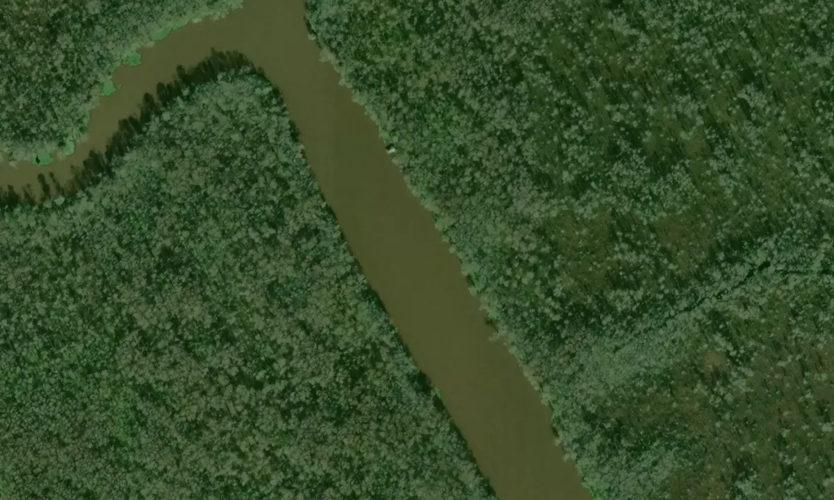 Satelite image of Natalbany River at Ponchatoula Creek