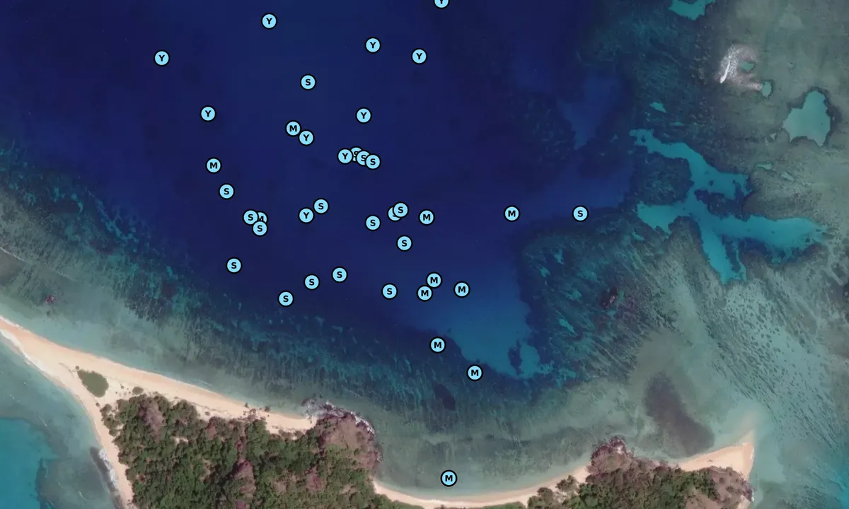 Satelite image of Navadra Island