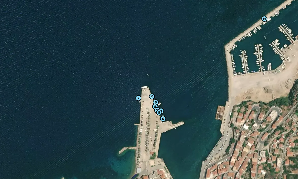 Satelite image of Navarino