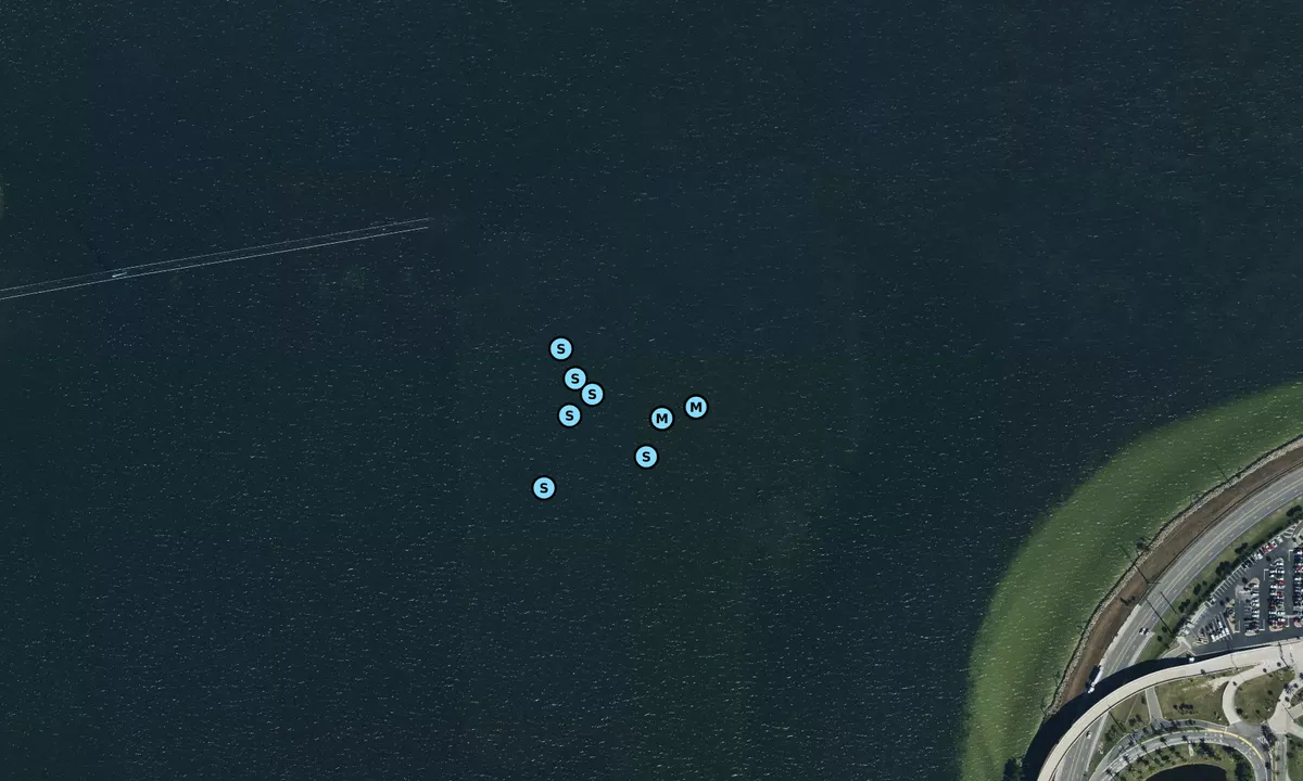 Satelite image of NE of Barge Canal