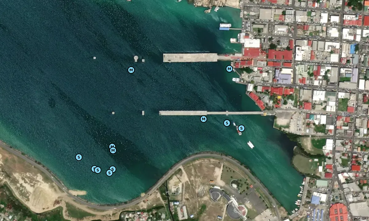 Satelite image of Nevis Street Pier