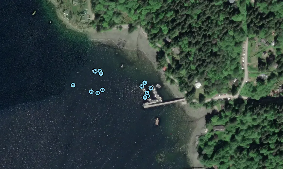 Satelite image of New Brighton Wharf