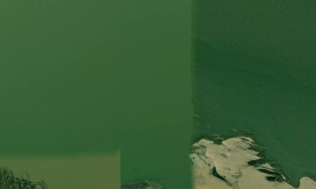 Satelite image of New Madrid Sand Bar